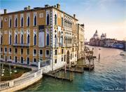 VENICE21 (46)